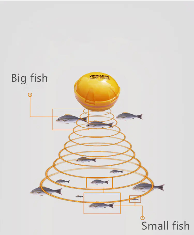 Smart Wireless Fish Tracker