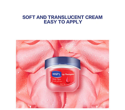 Moisturizing Lip Balm Set - Natural Plant Based